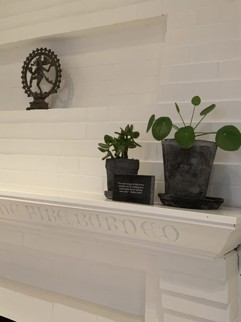 A fireplace mantle with two plants on it.